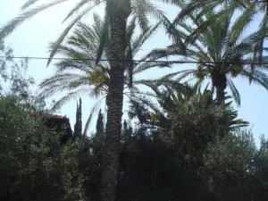 丽莎山林小屋 - Kefar Daniyyel