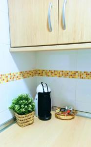 Botánic Suite Malaga