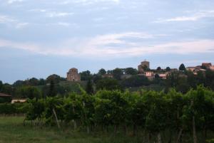 Maisons de vacances Romantic Gite nr St Emilion with Private Pool and Views to Die For : photos des chambres