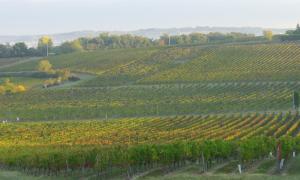 Maisons de vacances Romantic Gite nr St Emilion with Private Pool and Views to Die For : photos des chambres