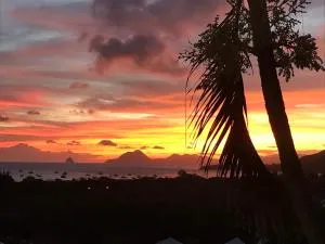 Belfond-Tropical - 圣安娜