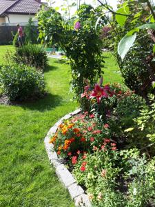 Apartament AMETYSTOWY