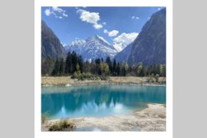 Appartements L'edelweis : photos des chambres