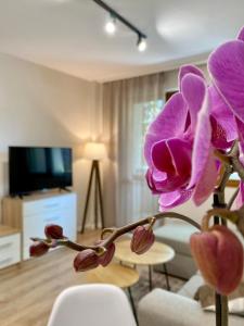 City Centre Bright & Cozy Apartment for 4 persons