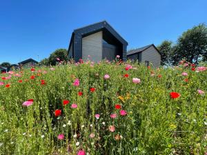 Bio-Seehotel Chalets