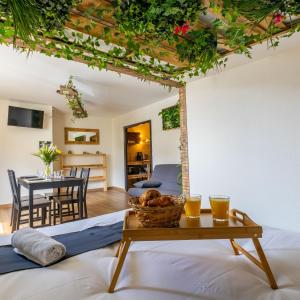 Studio élément - Terre