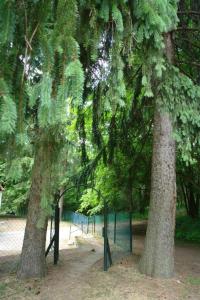 Forest gate Vendégház