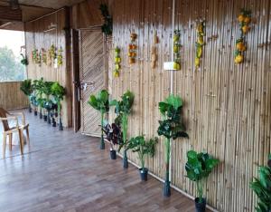 EKANT BAMBOO HUTS