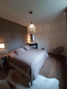 B&B / Chambres d'hotes Chateau Sourliavoux, appartement en chambres d'hotes : photos des chambres