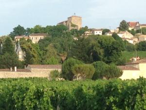 Maisons de vacances Romantic Gite nr St Emilion with Private Pool and Views to Die For : photos des chambres