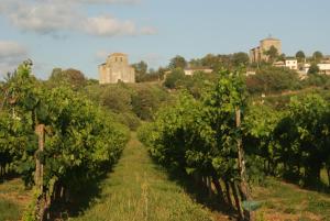 Maisons de vacances Romantic Gite nr St Emilion with Private Pool and Views to Die For : photos des chambres