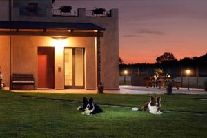 Casa Montefiore 13 LT nella tranquilla campagna Marchigiana