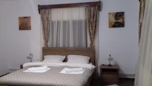 Casa Radu