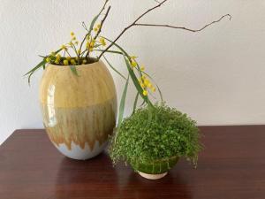 Amazing T.M. Villa in Nossa Senhora da Rocha