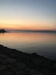 MOD’s place - Dromineer