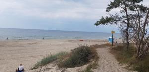 Pokoje pod Agawą