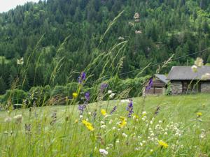 Holiday Home Rustico Enrico by Interhome