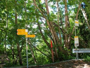 Chalet Baita Monti di Piazzogna by Interhome