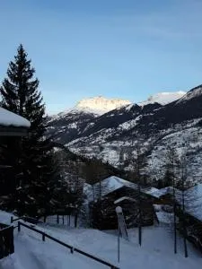 Appartement dans chalet typiquement savoyard au pied des pistes - 拉诺玛