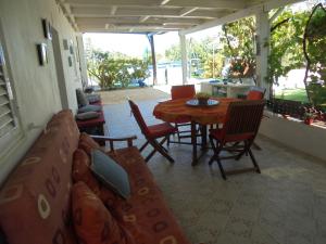 Silence of the Birds