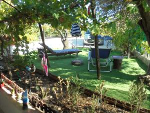 Silence of the Birds