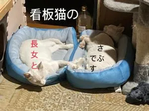 Guest House Salt Beach - Камеяма