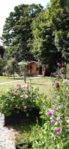 Agnes Bed and Breakfast