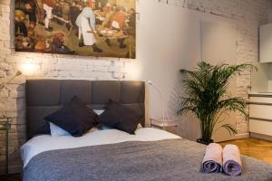 Sympatyczne studio z palmą areka A nice studio with areka palm tree