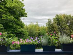La Casa Blu di Monasteto