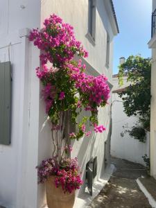 Raphael Skiathos Living-Olga