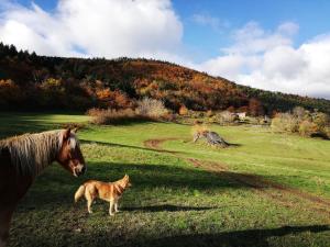 Appartements Le Grand Bayle - Oasis Naturelle : photos des chambres