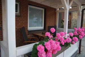 Nordlicht - moderne Fewo im Souterrain