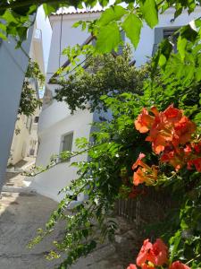 Raphael Skiathos Living-Venetia