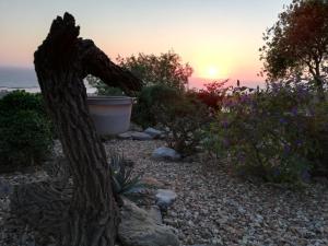 Onze Uitsight Cottage