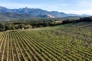 Appart'hotels Domaine de Peretti della Rocca : photos des chambres