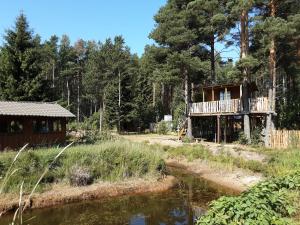 Elulõng Camping