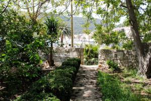 Apartment Karlo Vis