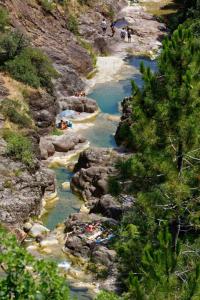 Maisons de vacances La Salamandre : photos des chambres