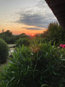 RARE EXCLUSIVITE La Villa Fongrivoise Grande Piscine avec terrasse 5 chambres et salle de bain WC privatifs Patio Cheminée sans Vis à Vis