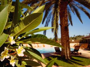 Kissamos Hotel Chania Greece