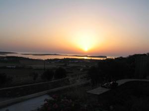 Margarita Countryside Studios Paros Greece