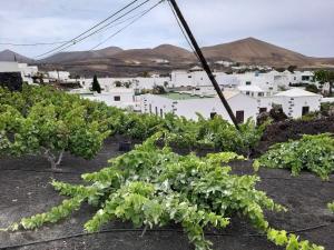 Numero28,Casa Tilama