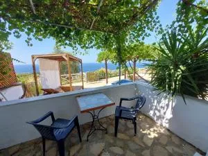 Beautiful house located on a hill with a spectacular sea view in Samos Island - Votsalákia
