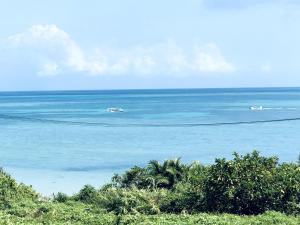 New Open!!! BRIDGE 小浜島