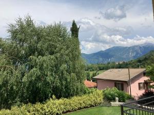 Matis House