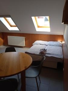 Apartman Pávai-Silye