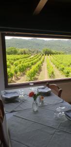 Agriturismo Vermentino img19