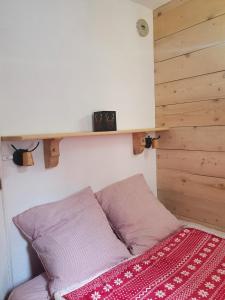 appartement cosy central et fonctionnel La Foux dAllos