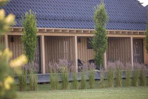 Gradiali Anykščiai