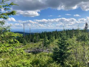 Winterfell Korbielów - dom z basenem sezonowym lipiec-sierpień